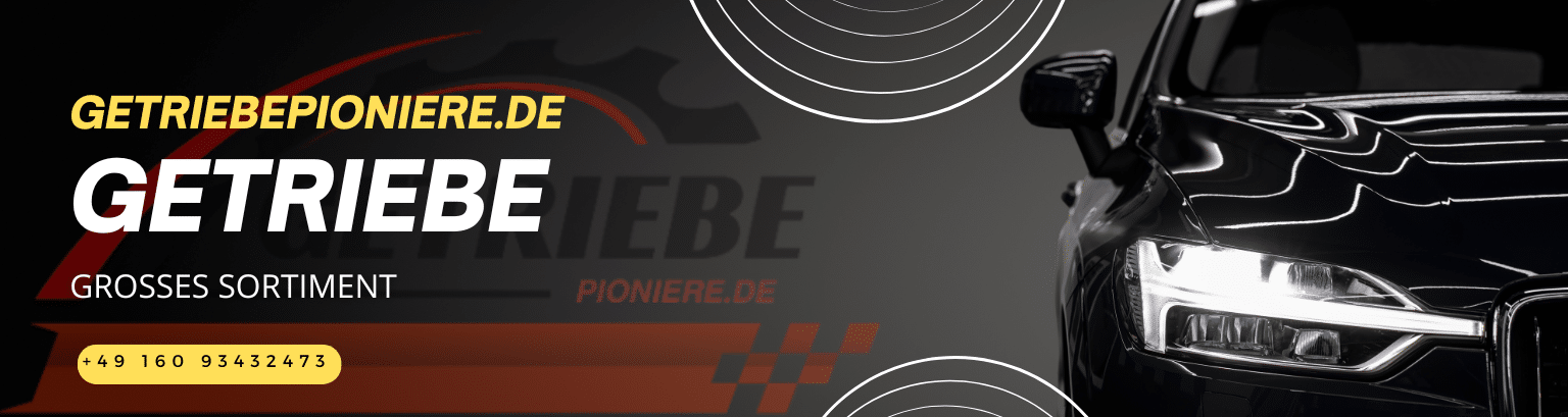 Getriebeinstandsetzung